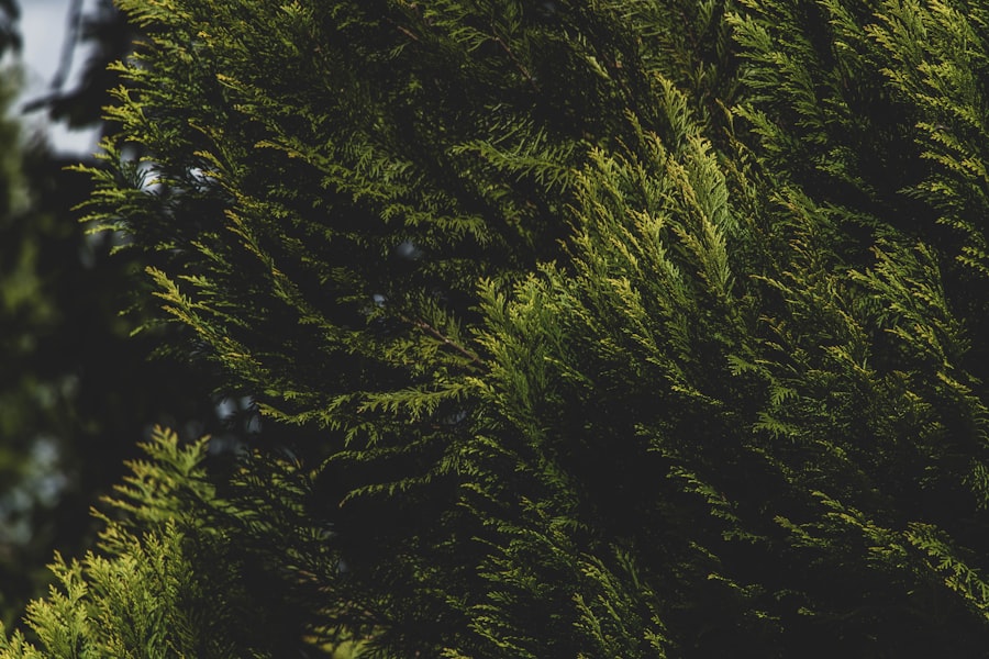 Photo woocommerce screenshot